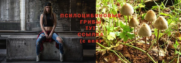 соль курить ск Корсаков