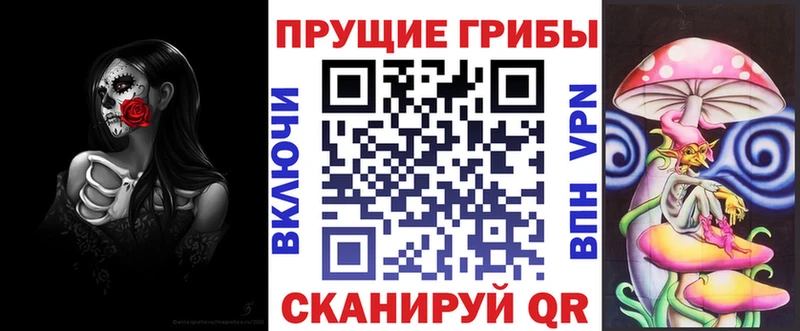 Купить где  Кяхта  Галлюциногенные грибы ЛСД 